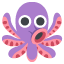 octopus