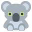 koala