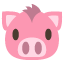 pig