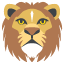 lion_face