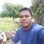 Alialif