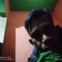 Acung