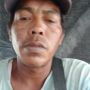 Lasmin12