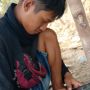 Gende