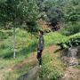 Iyan007