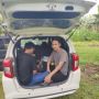 Wilisandika