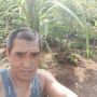 Tolem