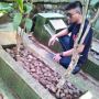 Lintar
