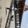 Parwis